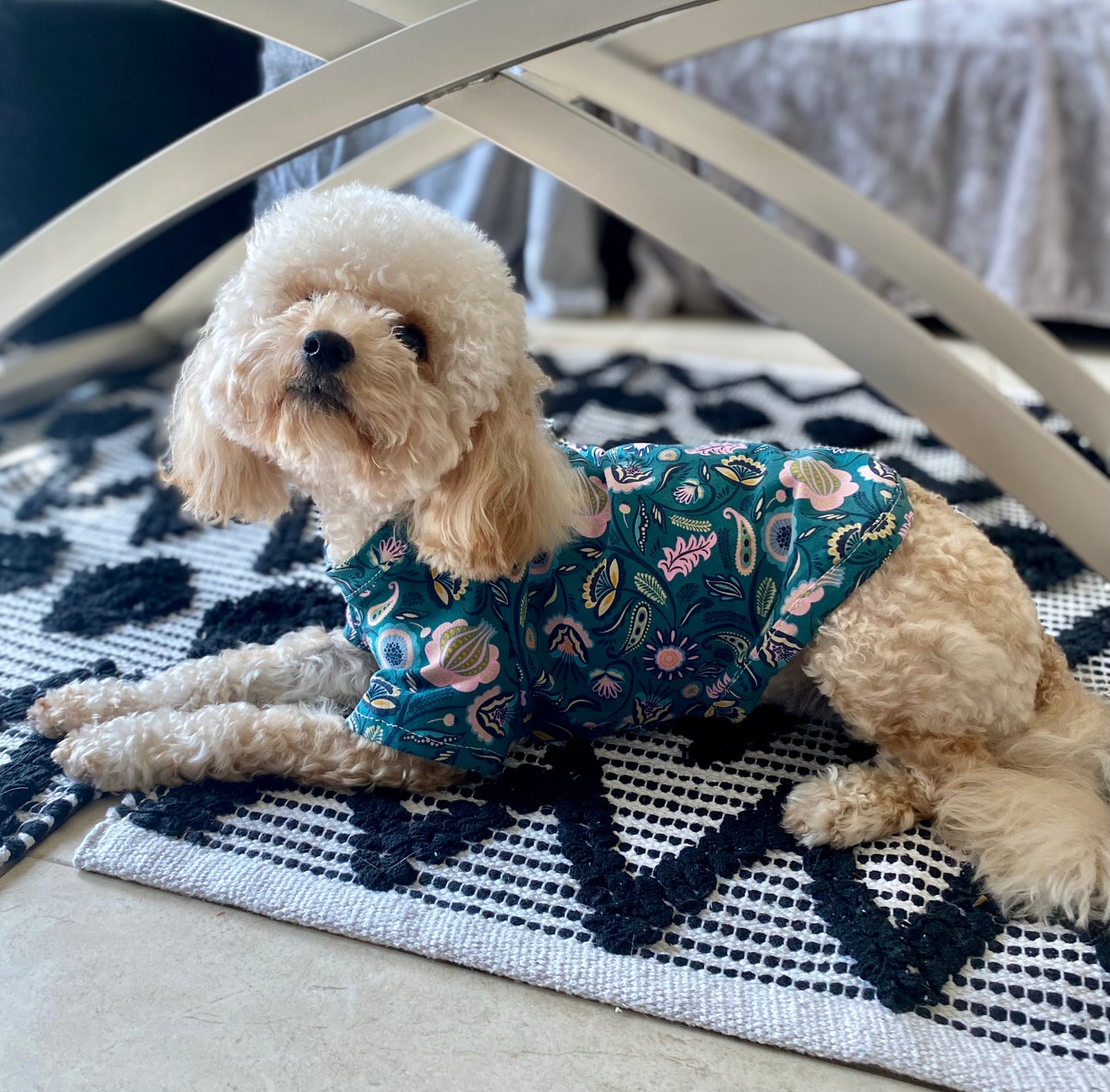 Green paisley Dog t-shirt / Pyjamas