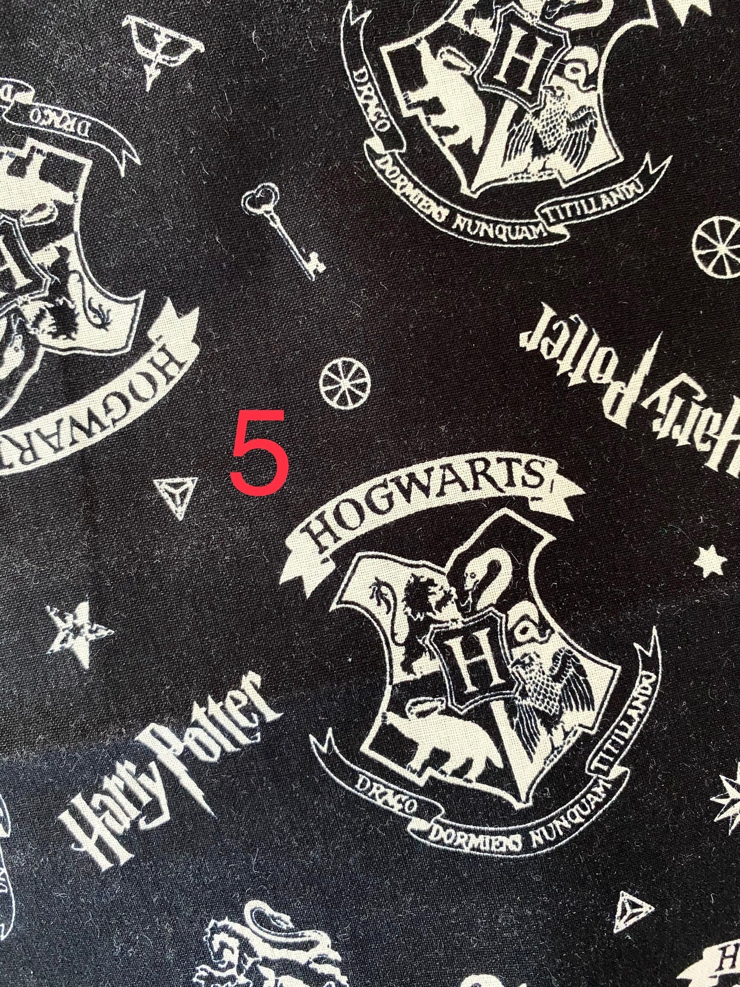 Harry Potter re- usable adjustable face cover