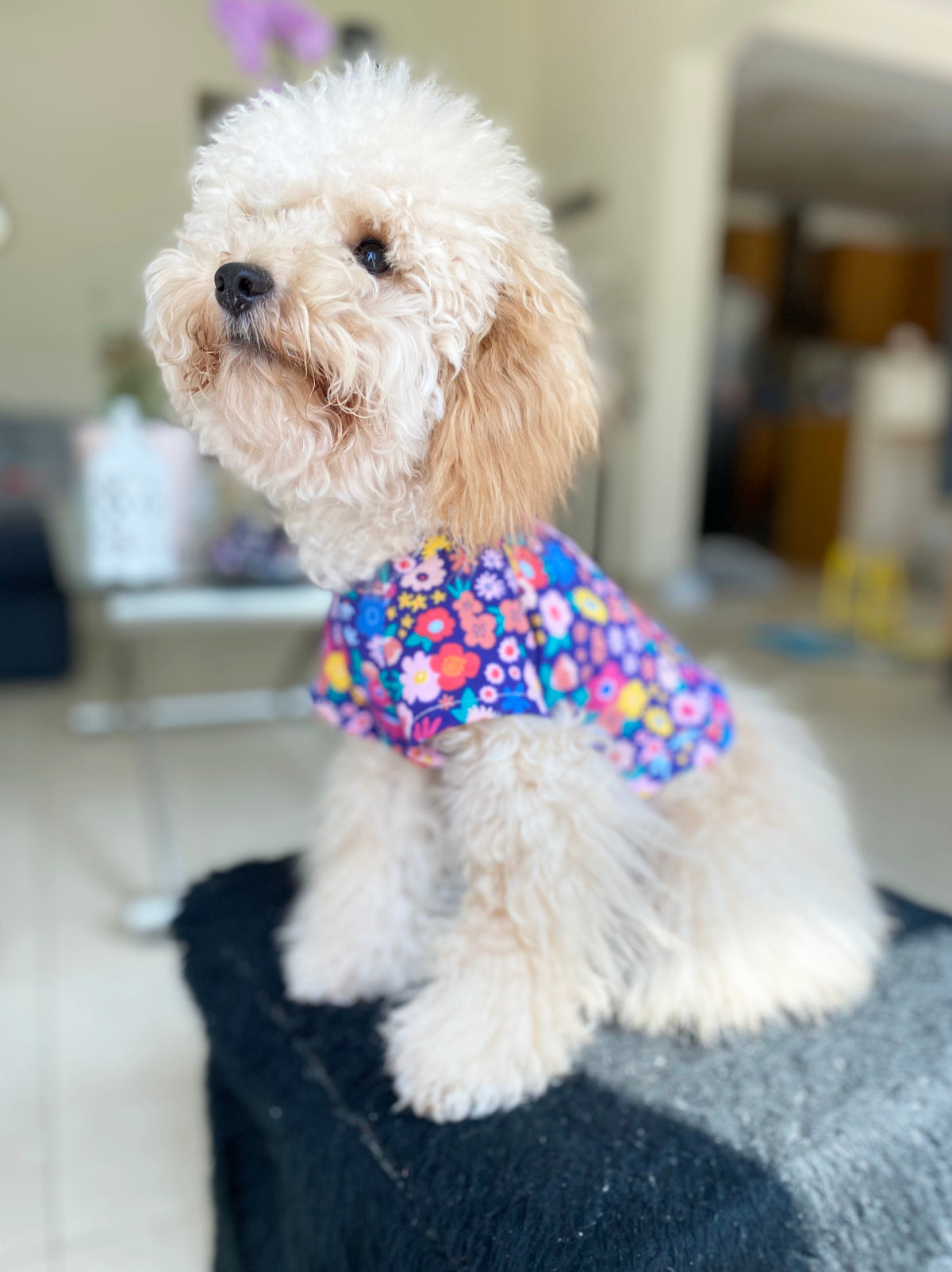 Dog t-shirt / Pyjamas in a floral pattern