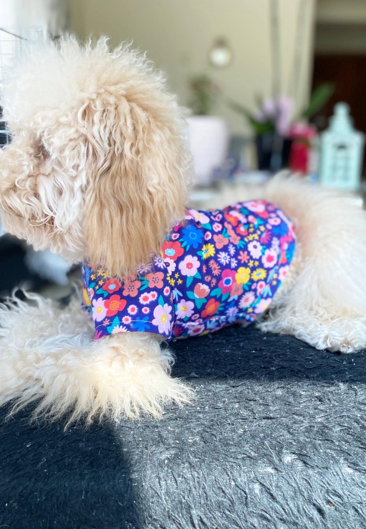 Dog t-shirt / Pyjamas in a floral pattern