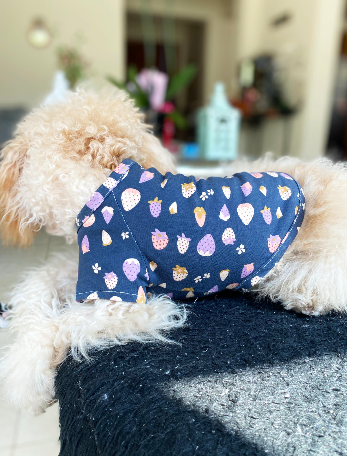 Dog t-shirt / Pyjamas in a strawberries pattern