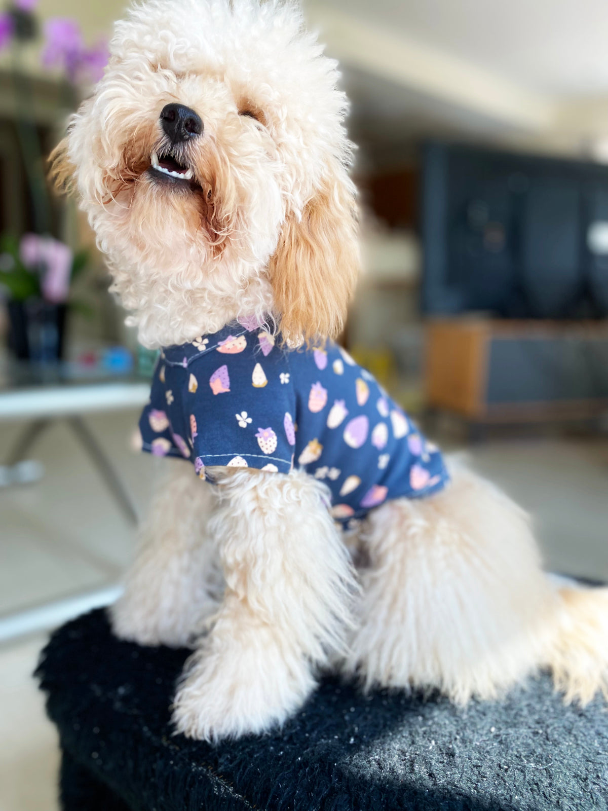 Dog t-shirt / Pyjamas in a strawberries pattern